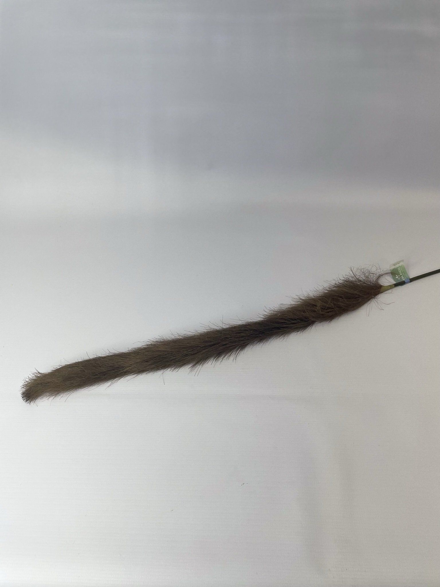 Pampas Grass - Brown - 4X10X130Cm