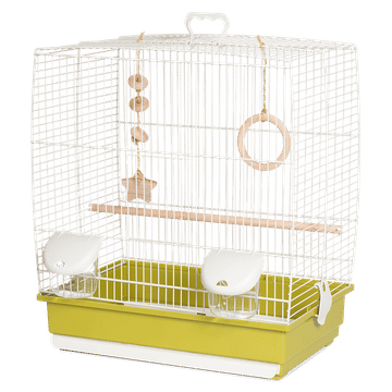 Bird Cage with Toys