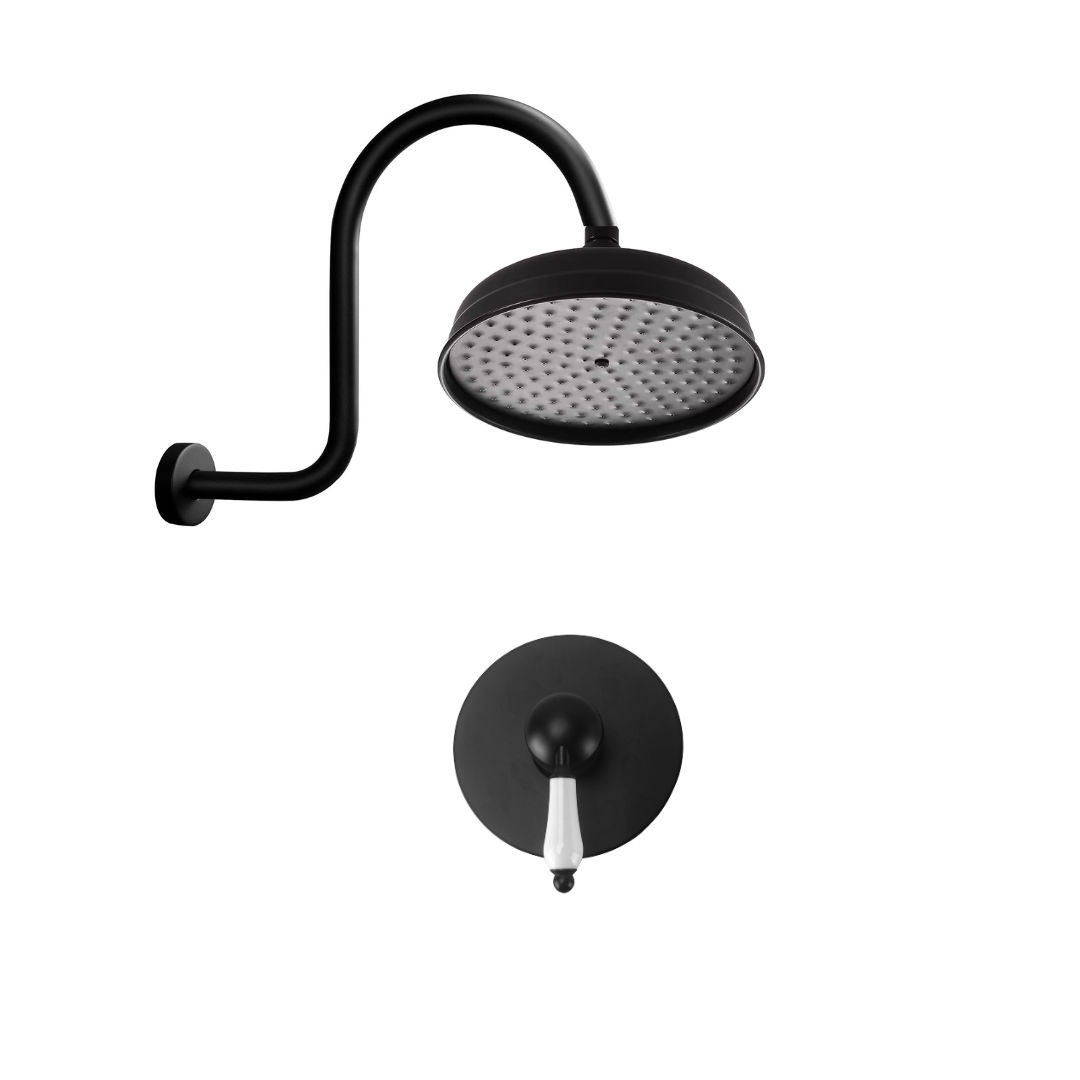 Trendy Taps Premium Quality Blackened Brass Classic Shower Set