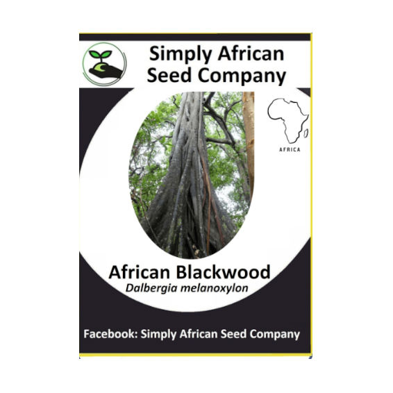 African Blackwood (Dalbergia melanoxylon) (6's)