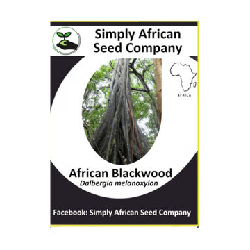 African Blackwood (Dalbergia melanoxylon) (6's)