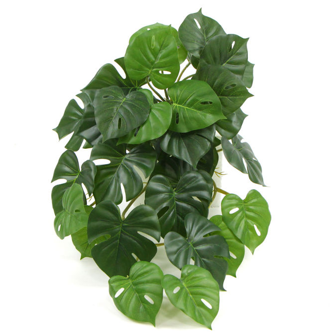The Green Wall Co. - Artificial Foliage UV Protected -  Hanging Turtle