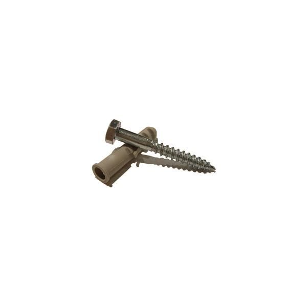 Coach Screw With Wall Plug