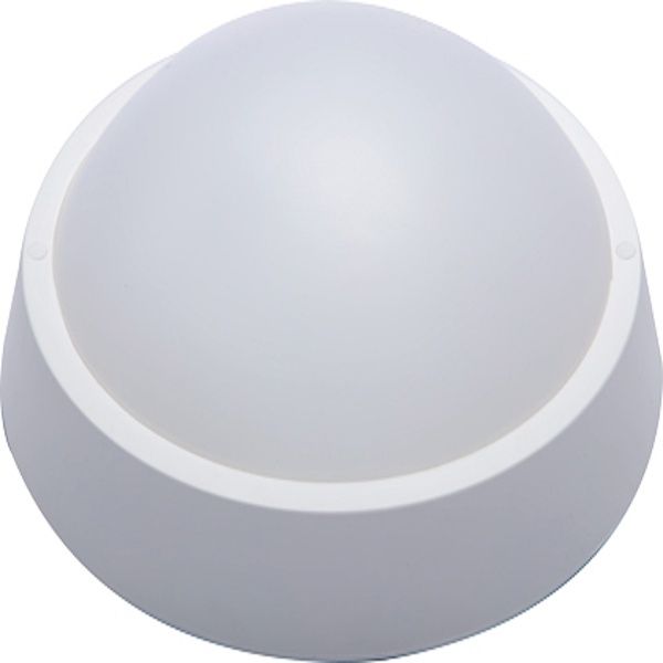 85-265VAC LED 20W Plastic White Bulkhead Cool White