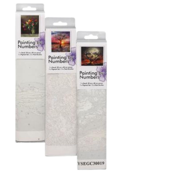 Paint-By-Numbers 30x40cm (3 Pack)