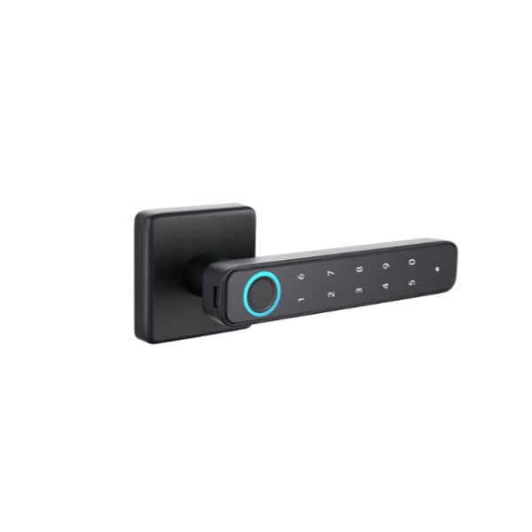 Home Unbound AccessPro - Smart Door Lock