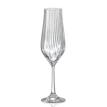 Bohemia Tulipa Champagne Flute 170ml