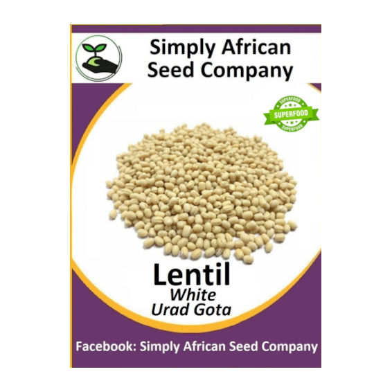 Urad Gota Lentil 15's
