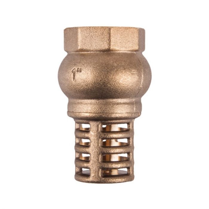 Torrenti Y Strainer Brass 50Mm from Agrinet