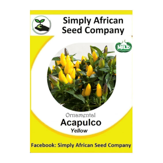 Ornamental Chilli Yellow (Acapulco) 15