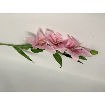 Lily L/Pink 95Cm