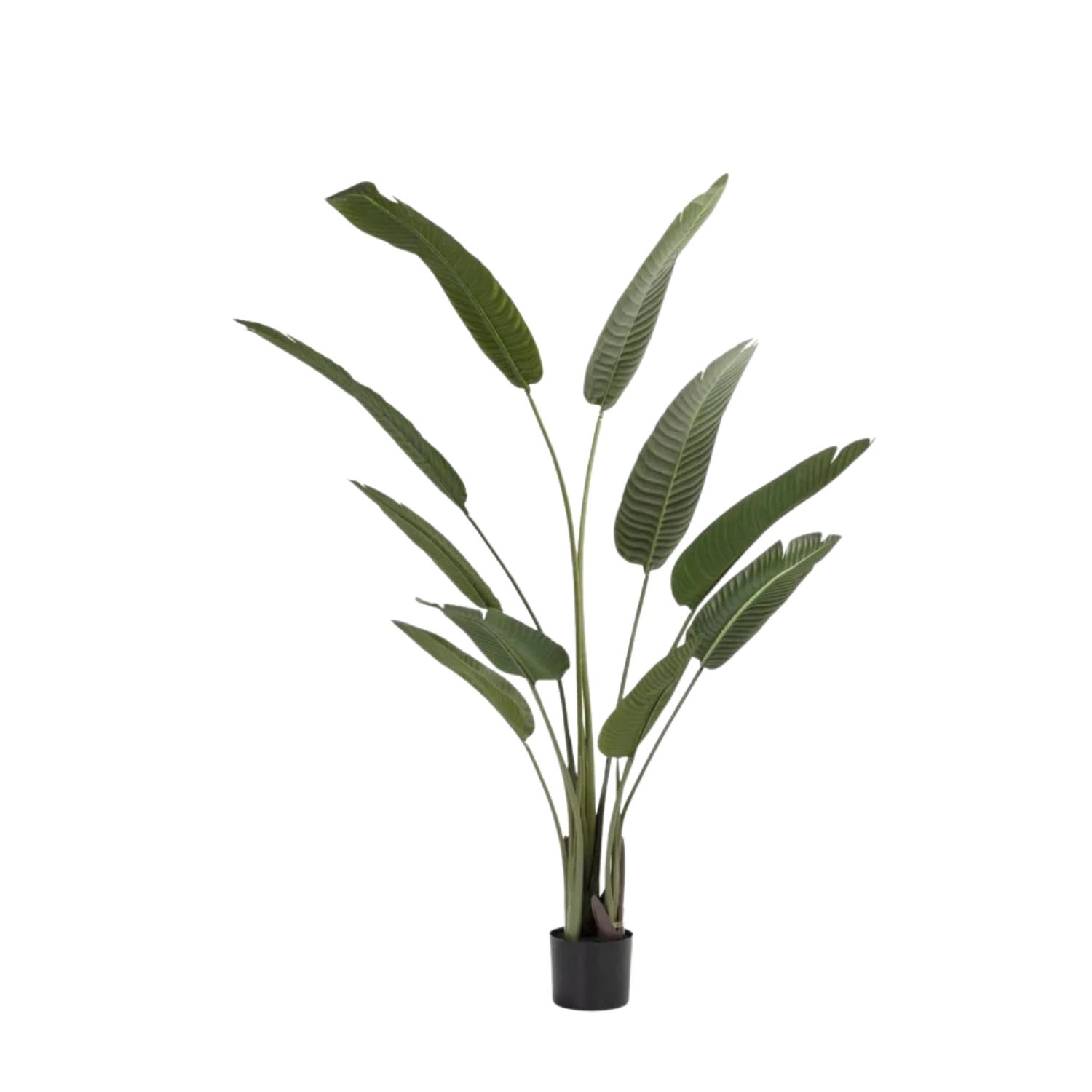 Birds Of Paradise Artificial Plant In Pot 160cm
