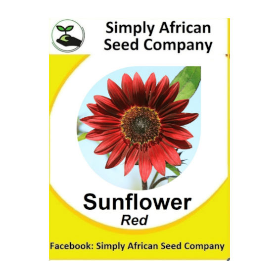 Sunflower Red (15's)