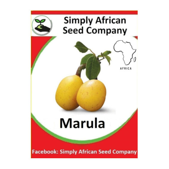 Marula (3's)