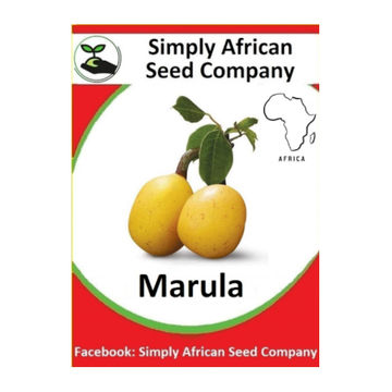 Marula (3's)