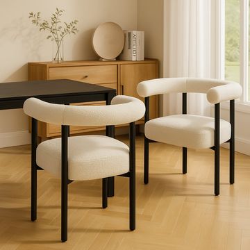 EFURN- KZ Glamour chair in silver frame for dining  room  or dressing room