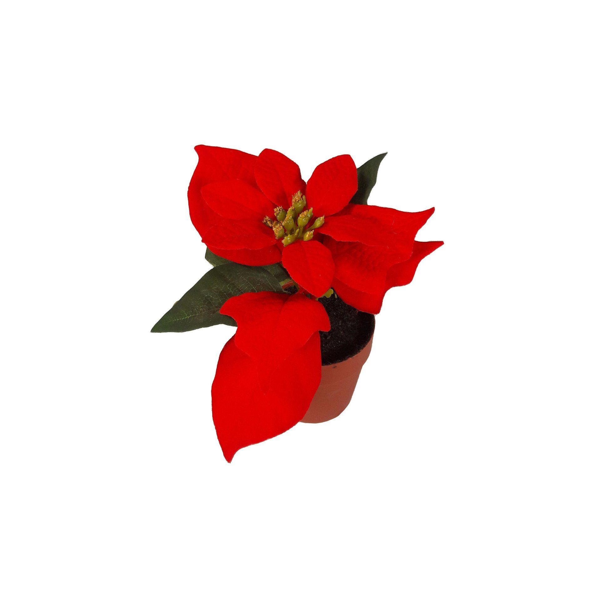 SILK POINSETTIA IN POT