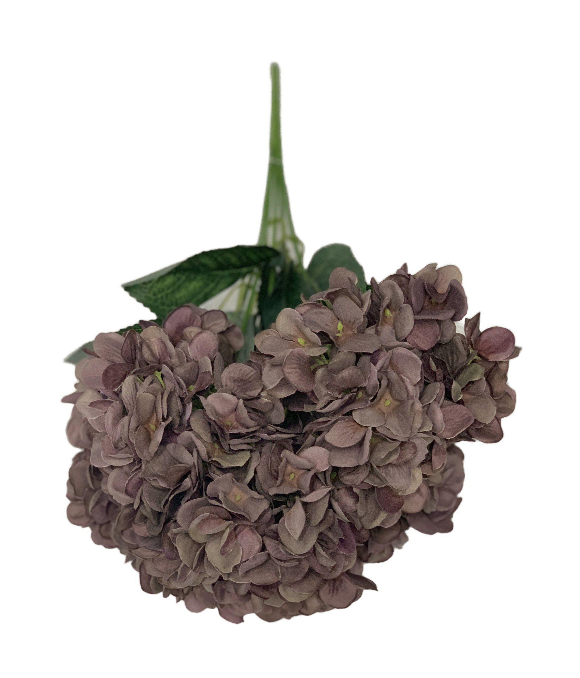 Hydrangea Burgandy 48Cm