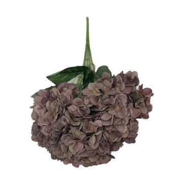 Hydrangea Burgandy 48Cm