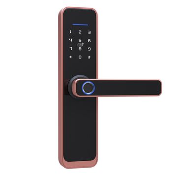 Intelligent Smart Door  Lock - Rose Gold