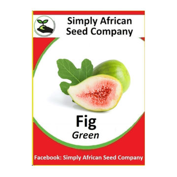 Fig Green 20's
