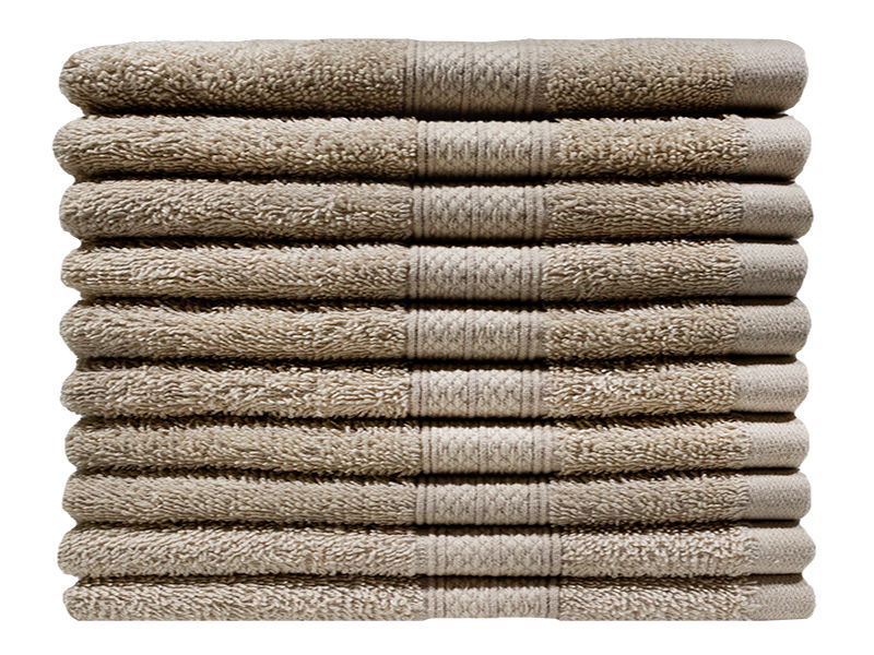 Bunty's Plush 450GSM 30x50cms Guest Towels - Birch(10pc pack)