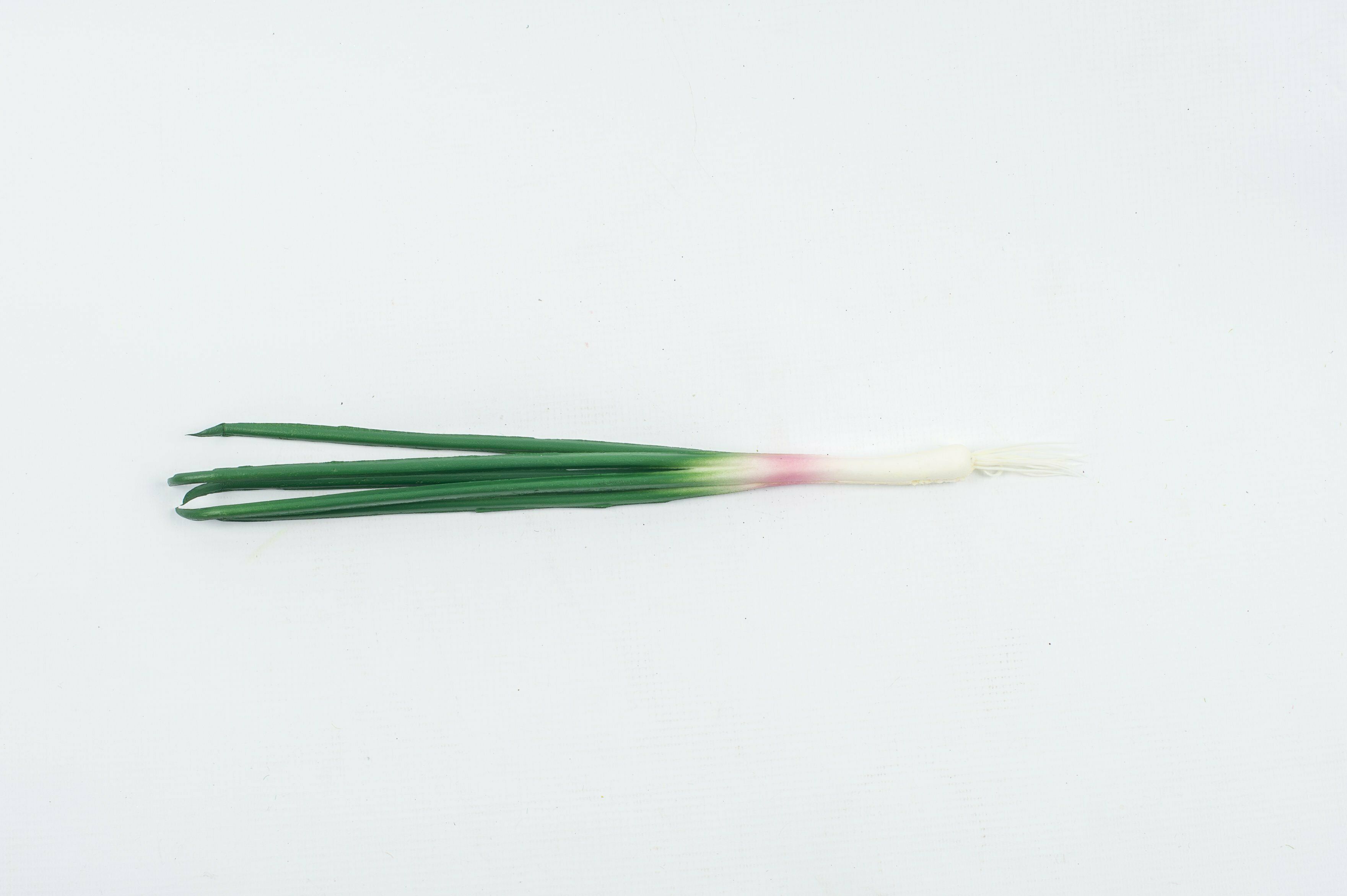 Spring Onion 41Cm
