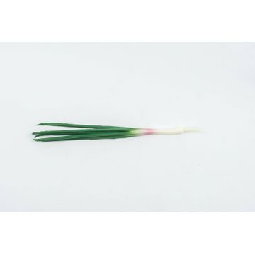 Spring Onion 41Cm