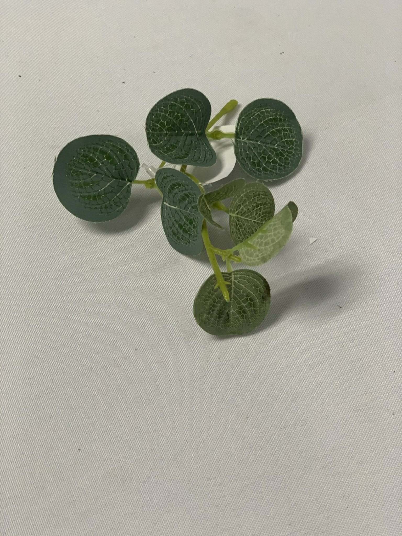 Green Leaf