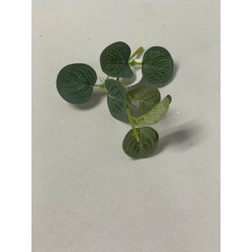 Green Leaf