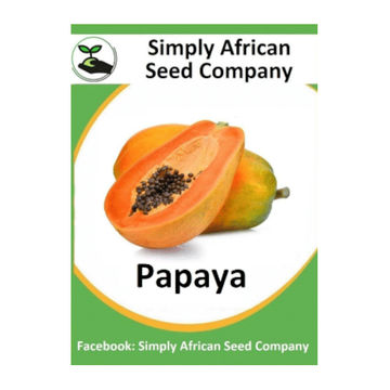 Papaya (Paw Paw) (12's)