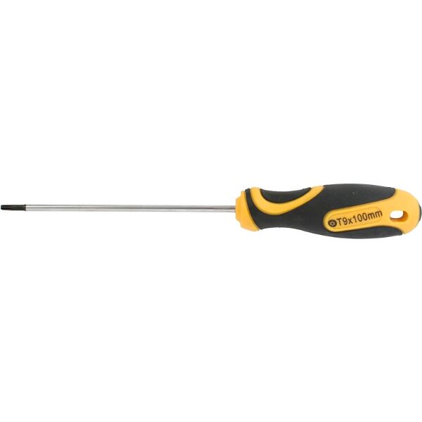 Screwdriver Torx Tamper Proof T9 4X75Mm