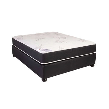 Vividitto -Wuyi Mattress - Queen Standard Length