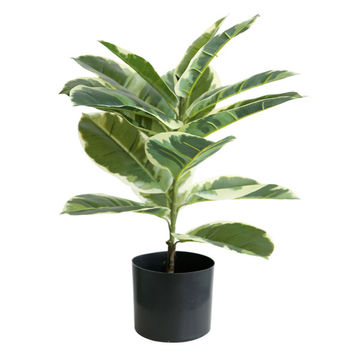 HouzeComfort Artificial Plastic Ficus Elastica Pot Plant 65cm