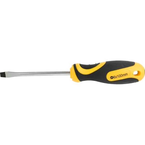 Screwdriver Slotted 6 X 100Mm