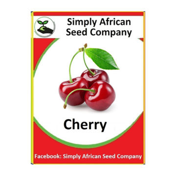 Cherry (3's)